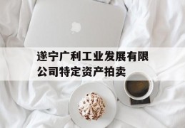 遂宁广利工业发展有限公司特定资产拍卖