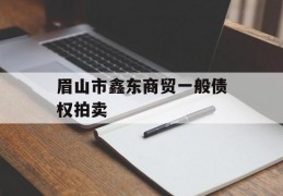 眉山市鑫东商贸一般债权拍卖