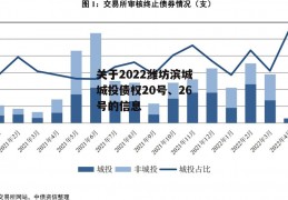 关于2022潍坊滨城城投债权20号、26号的信息