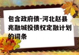 包含政府债-河北赵县兆融城投债权定融计划的词条