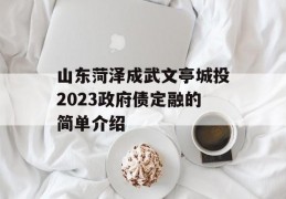 山东菏泽成武文亭城投2023政府债定融的简单介绍