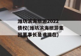 潍坊滨海旅游2022债权(潍坊滨海旅游集团董事长是谁现在)