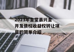 2023年金堂县兴金开发债权收益权转让项目的简单介绍