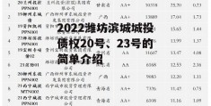 2022潍坊滨城城投债权20号、23号的简单介绍