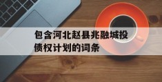 包含河北赵县兆融城投债权计划的词条