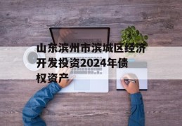 山东滨州市滨城区经济开发投资2024年债权资产
