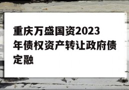 重庆万盛国资2023年债权资产转让政府债定融
