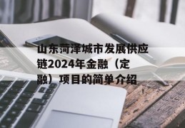 山东菏泽城市发展供应链2024年金融（定融）项目的简单介绍