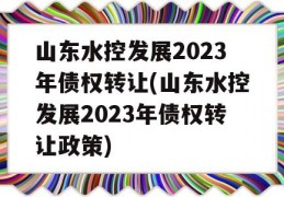 山东水控发展2023年债权转让(山东水控发展2023年债权转让政策)