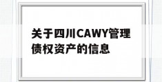 关于四川CAWY管理债权资产的信息