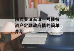 陕西秦汉天汉一号债权资产定融政府债的简单介绍