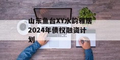 山东鱼台XY水韵雅居2024年债权融资计划