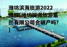 潍坊滨海旅游2022债权(潍坊滨海旅游集团有限公司会破产吗?)
