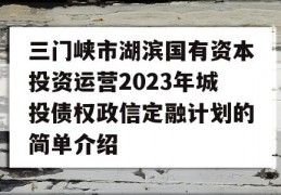 三门峡市湖滨国有资本投资运营2023年城投债权政信定融计划的简单介绍