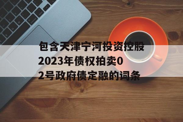 包含天津宁河投资控股2023年债权拍卖02号政府债定融的词条