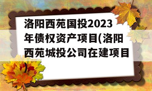 洛阳西苑国投2023年债权资产项目(洛阳西苑城投公司在建项目)