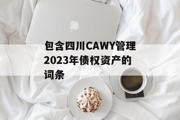 包含四川CAWY管理2023年债权资产的词条
