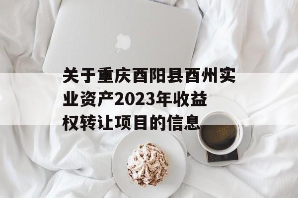 关于重庆酉阳县酉州实业资产2023年收益权转让项目的信息