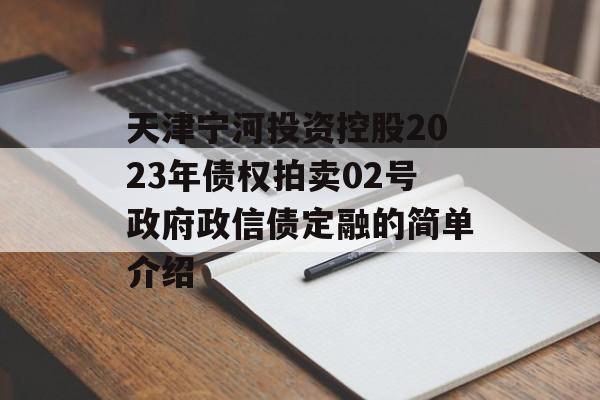 天津宁河投资控股2023年债权拍卖02号政府政信债定融的简单介绍
