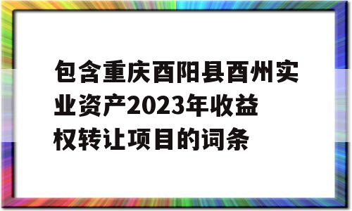 包含重庆酉阳县酉州实业资产2023年收益权转让项目的词条
