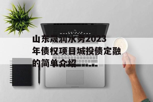 山东晟润水务2023年债权项目城投债定融的简单介绍
