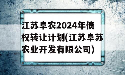 江苏阜农2024年债权转让计划(江苏阜苏农业开发有限公司)