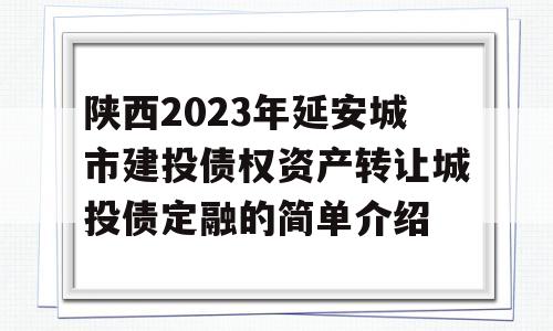 陕西2023年延安城市建投债权资产转让城投债定融的简单介绍