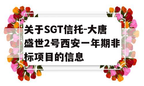 关于SGT信托-大唐盛世2号西安一年期非标项目的信息