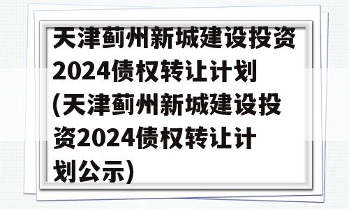 天津蓟州新城建设投资2024债权转让计划(天津蓟州新城建设投资2024债权转让计划公示)