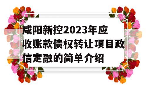 咸阳新控2023年应收账款债权转让项目政信定融的简单介绍