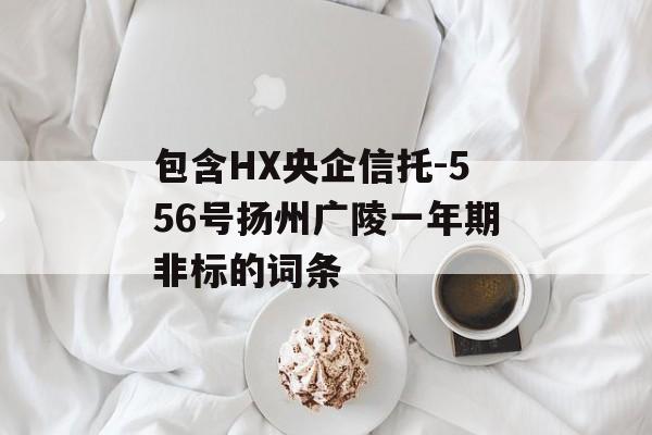 包含HX央企信托-556号扬州广陵一年期非标的词条