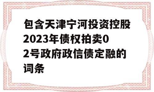 包含天津宁河投资控股2023年债权拍卖02号政府政信债定融的词条