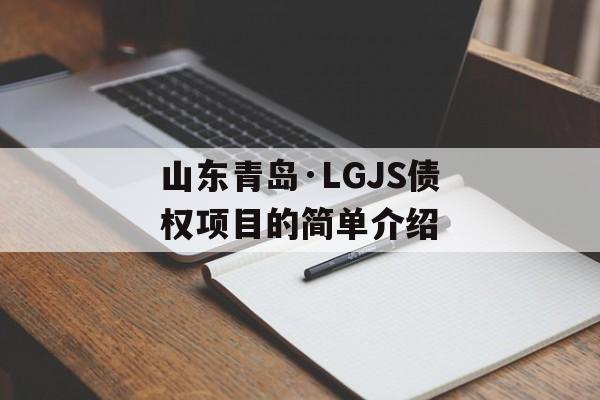 山东青岛·LGJS债权项目的简单介绍