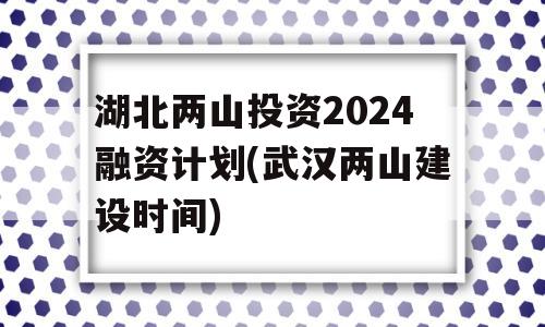 湖北两山投资2024融资计划(武汉两山建设时间)