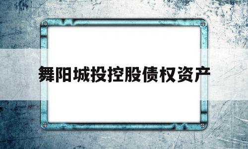 舞阳城投控股债权资产